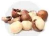 Tribest Soyabella SB130 - MACADAMIA COCONUT MILK - 2