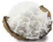 Tribest Soyabella SB130 - SWEET HORCHATA - 3