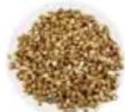 Tribest Soyabella SB130 - BUCKWHEAT MILK - 1