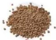 Tribest Soyabella SB130 - LENTIL SOUP - 2
