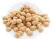 Tribest Soyabella SB130 - SOYMILK - 1
