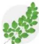 Tribest Soyabella SB130 - MINT TEA TONIC - 8