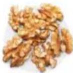 Tribest Soyabella SB130 - OMEGA PULSE - 1