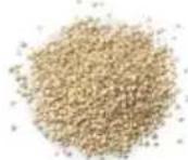 Tribest Soyabella SB130 - QUINOA MILK - 1