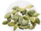 Tribest Soyabella SB130 - PUMPKIN SEED MILK - 2