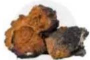 Tribest Soyabella SB130 - MUSHROOM TONIC - 3
