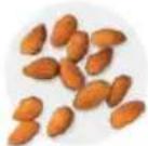 Tribest Soyabella SB130 - PLANT MILK KEFIR - 2
