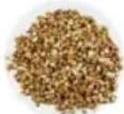 Tribest Soyabella SB130 - RAW SPROUTED GRAIN MILK - 2