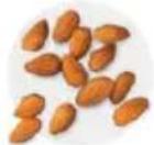 Tribest Soyabella SB130 - ALMOND MILK - 2