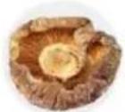 Tribest Soyabella SB130 - SEAWEED SOUP - 4