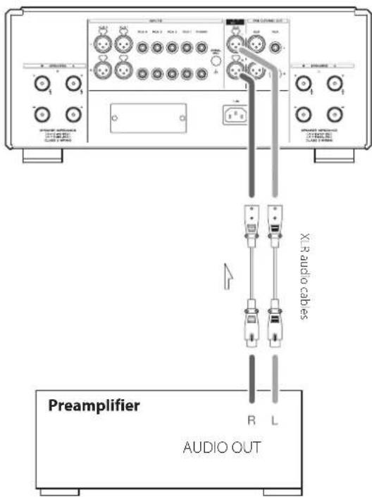 Esoteric F05 - Connections for use as a power amp - 1