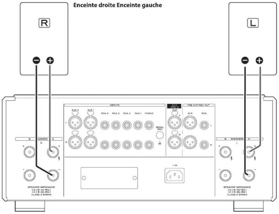 Esoteric F05 - Prise d'entree secteur ( IN) - 2