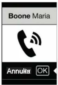 Vimar ELVOX 41018 - Informations sur l'appel - 1