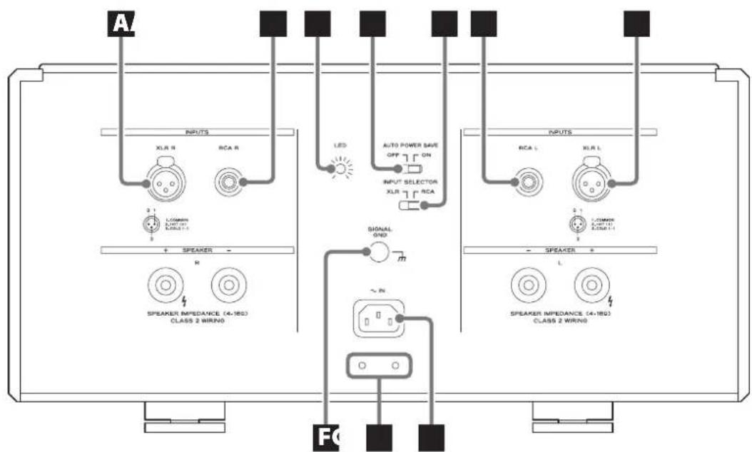 Esoteric S02 - Rear panel - 1