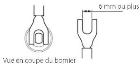 Esoteric S02 - Si vous utilisez des cosses à fourche - 2