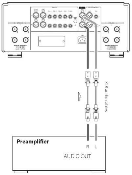 Esoteric F03A - Connections for use as a power amp - 1