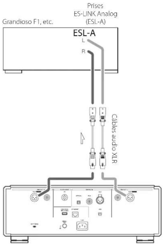 Esoteric N01 - Branchement à un amplificateur par ESL-A - 1