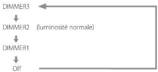 Esoteric N05 - Affichage (DIMMER) - 1
