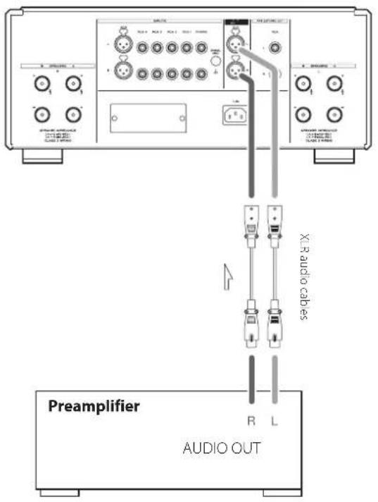 Esoteric F07 - Connections for use as a power amp - 1