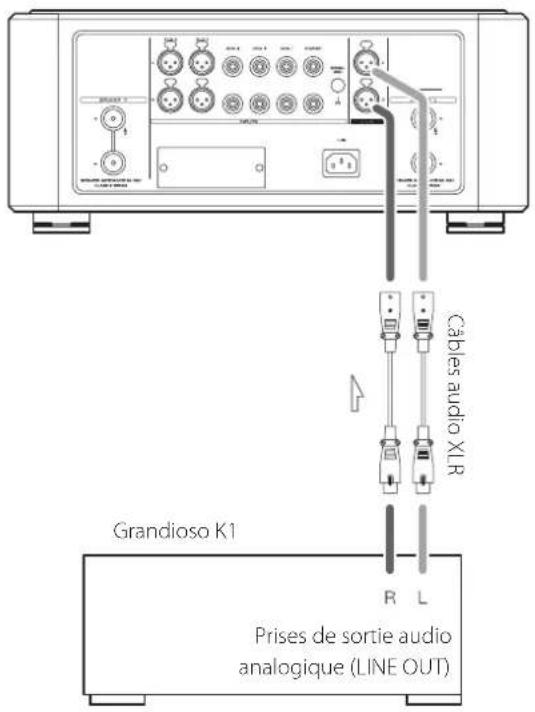 Esoteric Grandioso F1 - Branchement d'un Grandioso K1 - 1