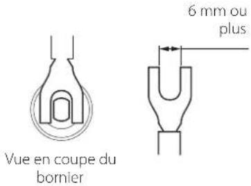 Esoteric Grandioso F1 - Si vous utilisez des cosses à fourche - 2
