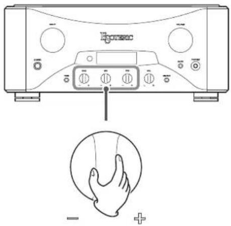 Esoteric Grandioso F1 - Controles de tono - 1