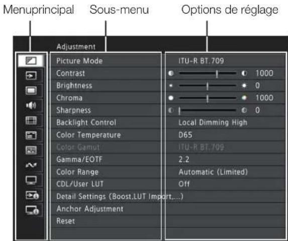 CANON DPV1711 - Fonctionnement du moniteur vidéo - 1
