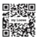 LOEWE Klang sub1 - PpniloJKeHn - 1