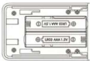 AS1 WW ED61 UR03 AAA1.5V
