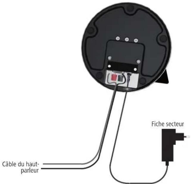 LOEWE Stand Speaker Slim ID - Connexion du haut-parleur à la source audio - 1