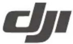 DJI Goggles 2 - 1