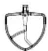 GE Profile P8MSASS6TOW - Batter - 1