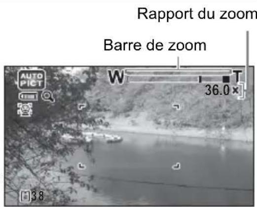 Rapport du zoom Barre de zoom AUTO PICT W T 36.0 x 138