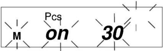 Kern EW 42002NM - Display symbol: PCS - 5