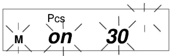Kern EW 6203NM - Anzeigesymbol: PCS - 5