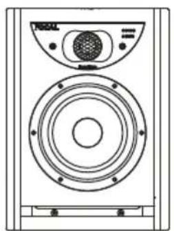 FOCAL Twin6 Dual - 6