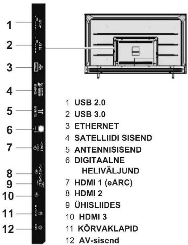 PANASONIC TX75LX700E - Liidesed - 1