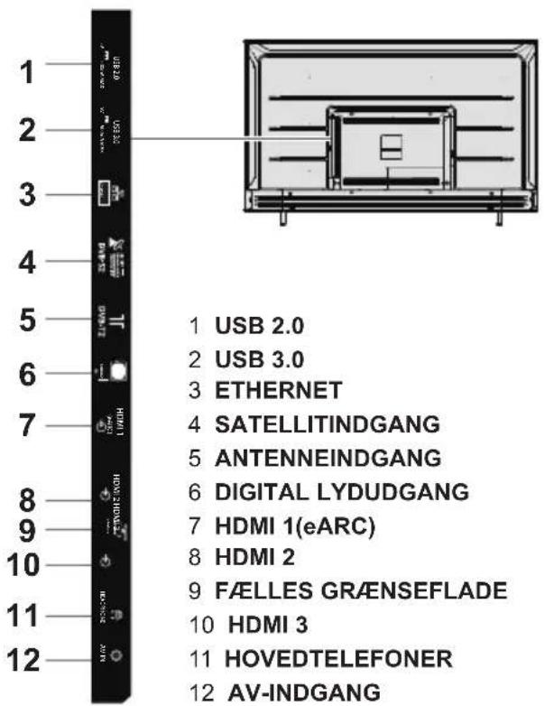 PANASONIC TX75LX700E - Terminaler - 1