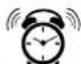 AURIOL IAN 396656 - Alarm - 1