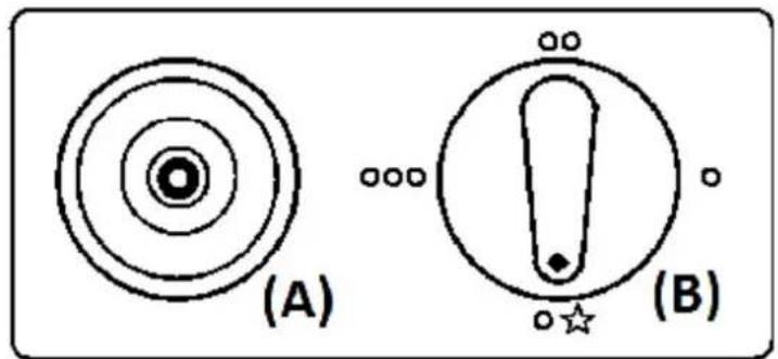 (A) (B)