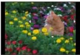 PANASONIC Lumix DCTZ96D - Mode d'enregistrement : iA iA P A S M M SCN - 5