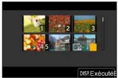 PANASONIC Lumix DCTZ96D - Lorsqu'un écran similaire à celui de droite est affiché : - 1