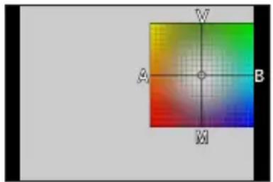 PANASONIC Lumix DCTZ96D - Ajustements fins de la balance des blancs - 1
