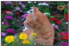 PANASONIC Lumix DCTZ96D - Mode d'enregistrement : iA iA P A S M M SCN - 7