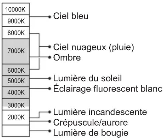 PANASONIC Lumix DCTZ96D - Balance des blancs automatique - 1