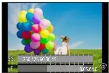 PANASONIC Lumix DCTZ96D - Lors du réglage du flou artistique en arrière-plan - 1