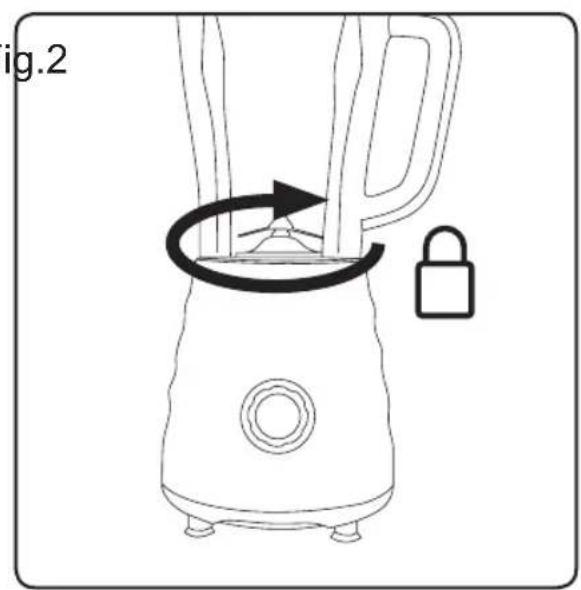 TAURUS Succo Easy - 3