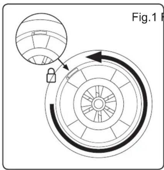 Fig.1