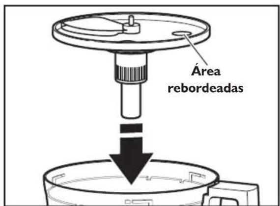 Área rebordeadas