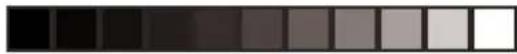 NEC MultiSync LCD1530V - NEC - 1